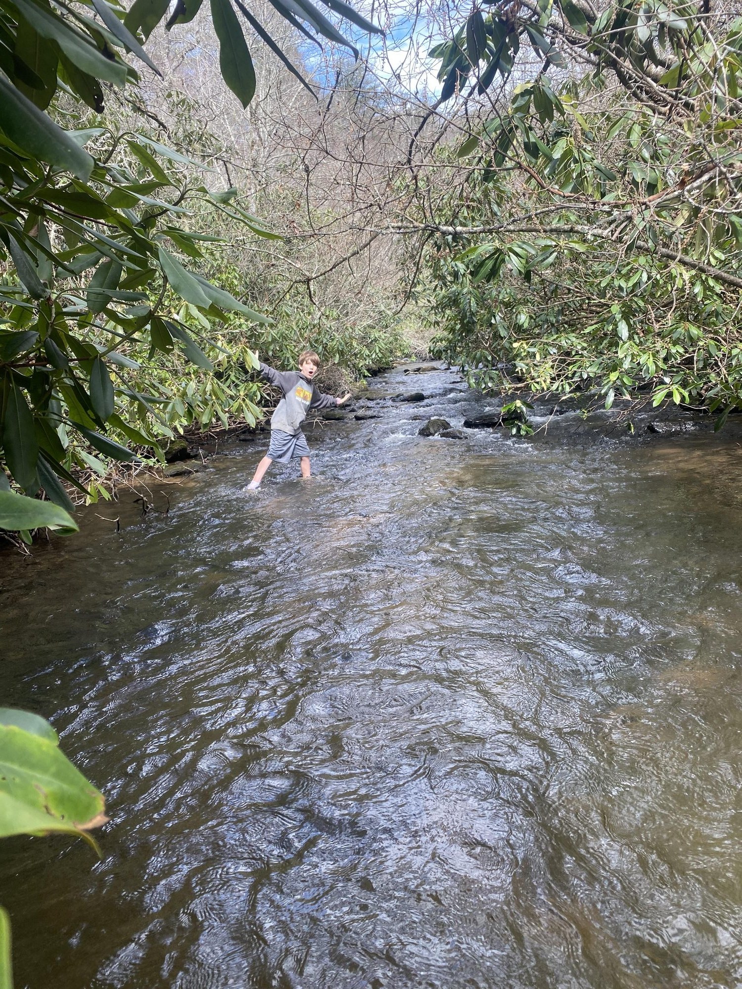 Big Creek running through the woods behind Lotts of Sky