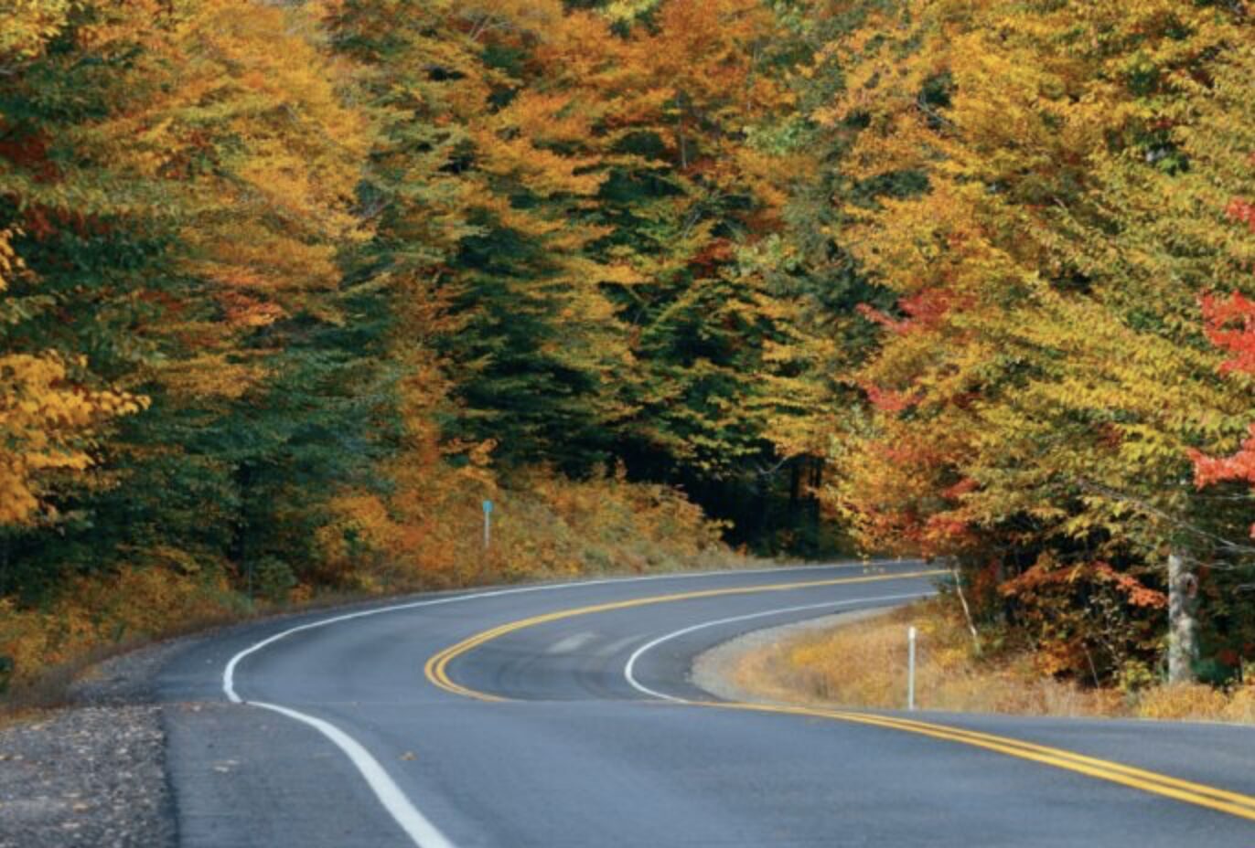 The winding mountain road leading to Highlands, North Carolina