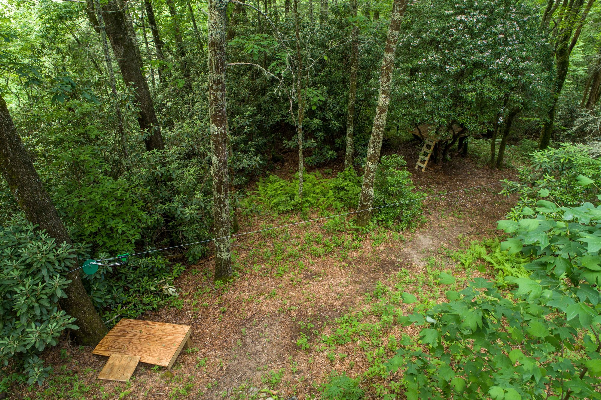 Aerial view of the zip line running through the back yard