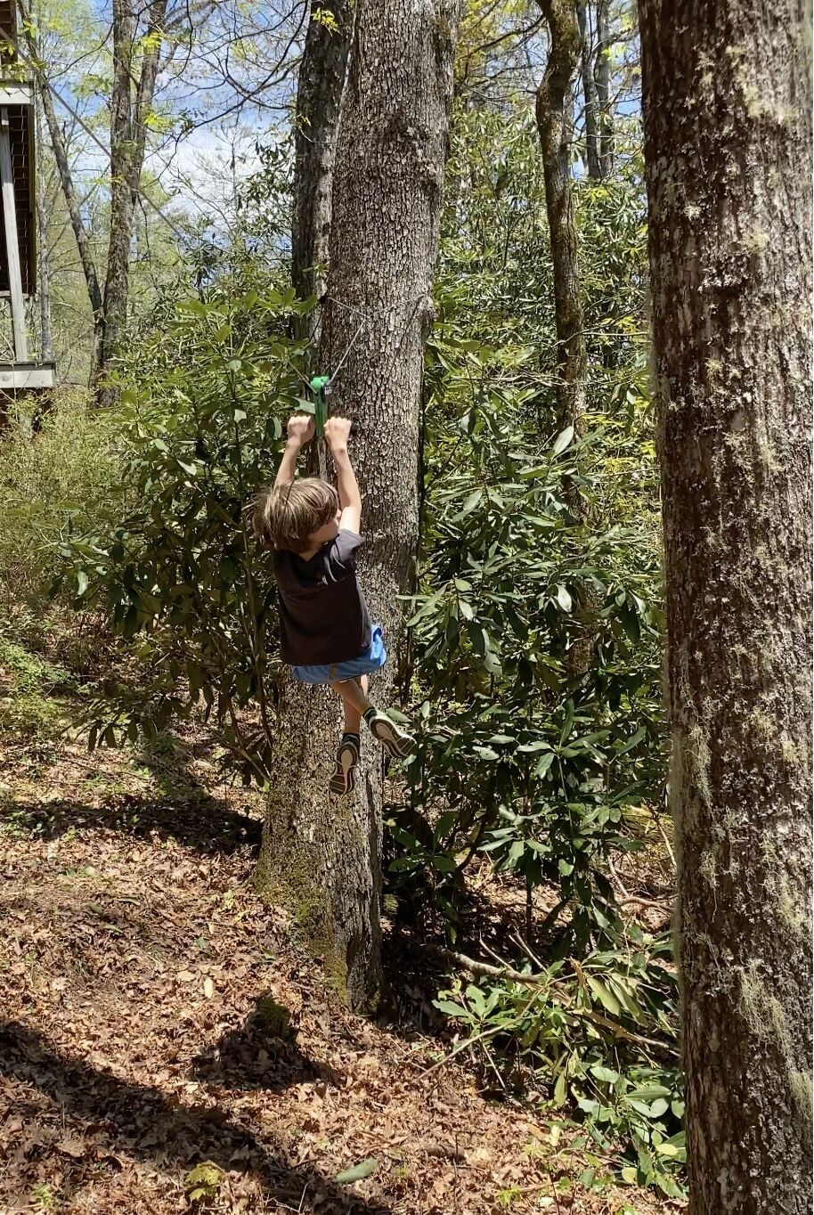 A child riding the zip line through the trees